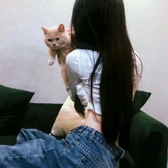 枪兵 在线观看封面